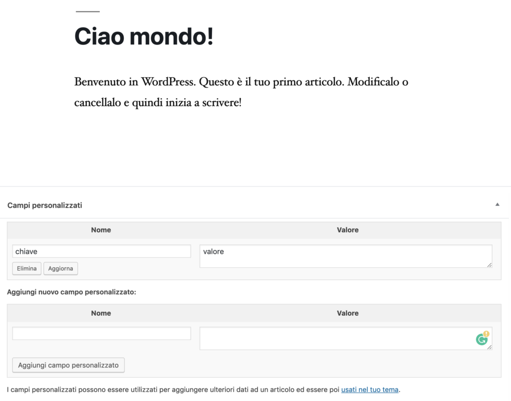 I campi dei custom field in Gutenberg