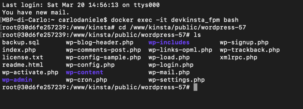 Accedere ai file di WordPress con WP-CLI